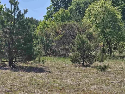 V/l Parcel C SE Grass Lake, Kalkaska, MI 49646