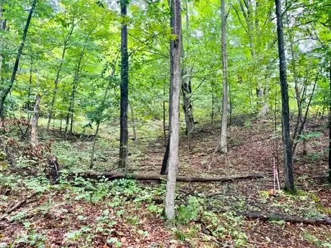 Killdale, Benzonia, MI 49616