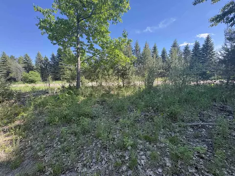 Parcel E Saint Johns, Interlochen, MI 49643 photo 7