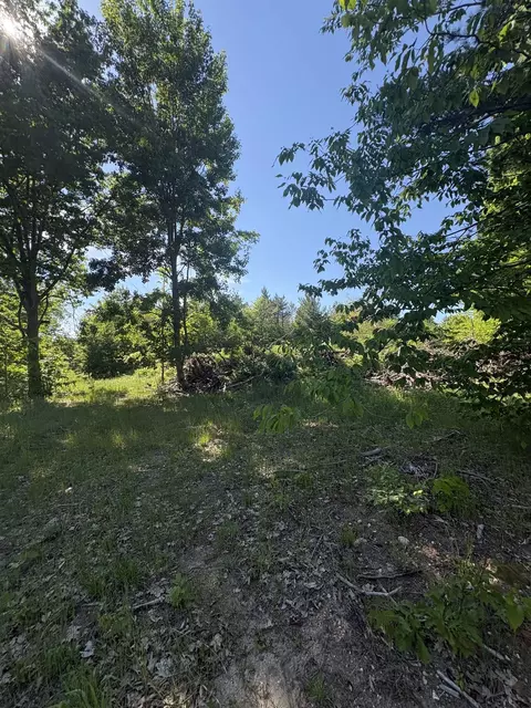 Parcel E Saint Johns, Interlochen, MI 49643 photo 8