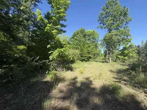 Parcel E Saint Johns, Interlochen, MI 49643 photo 6