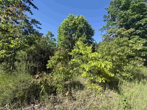 Parcel E Saint Johns, Interlochen, MI 49643 photo 10