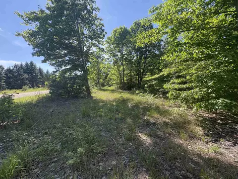 Parcel E Saint Johns, Interlochen, MI 49643 photo 5