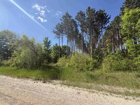 Parcel E Saint Johns, Interlochen, MI 49643 photo 4