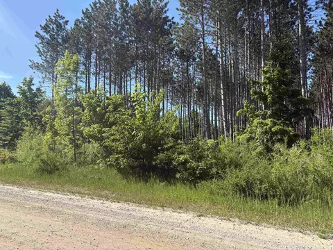 Parcel E Saint Johns, Interlochen, MI 49643 photo 2