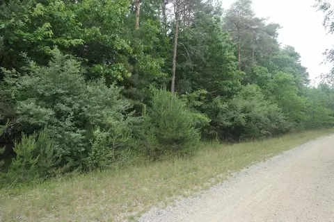 Merrill, Vestaburg, MI 48891