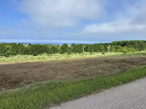 12 Foxview, Charlevoix, MI 49720 photo 3