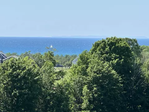 12 Foxview, Charlevoix, MI 49720 photo 5