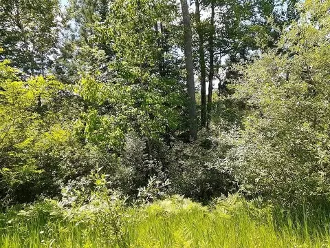 0 E Side, Lupton, MI 48635