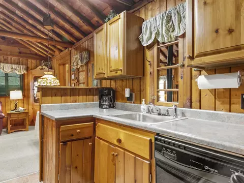 Kitchen - 8604 Deadstream, Honor, MI 49640 photo 3 of 4