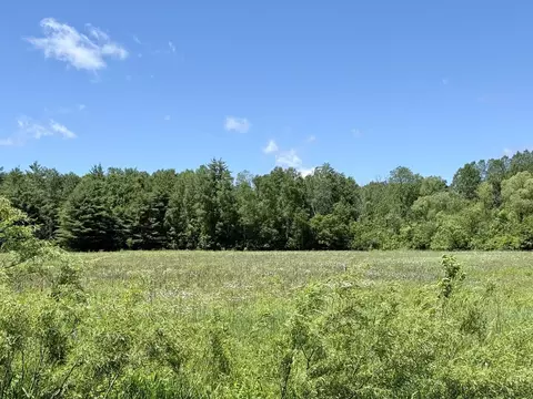 V/l 5th, Marion, MI 49665