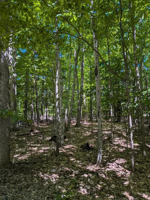 M-48, Pickford, MI 49774