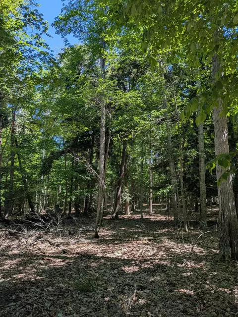 M-48, Pickford, MI 49774 photo 6
