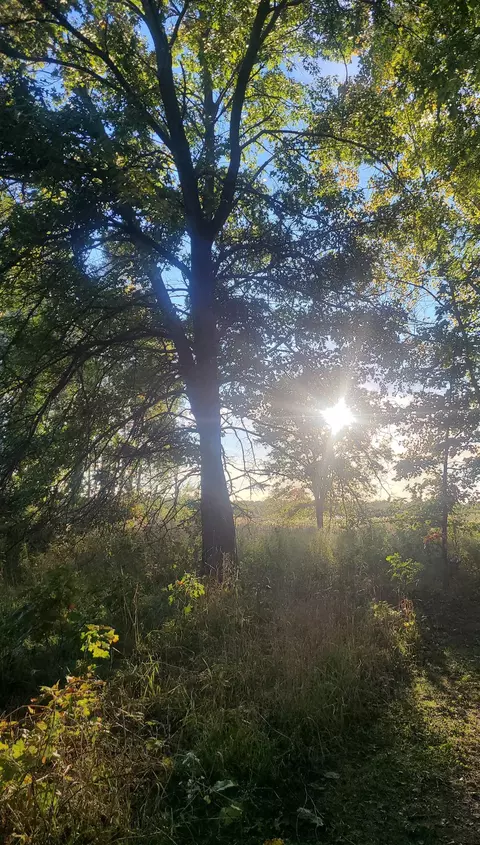 M-48, Pickford, MI 49774 photo 7