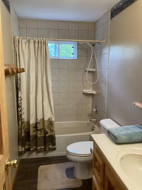 1875 Richardson, Mio, MI 48647 photo 44
