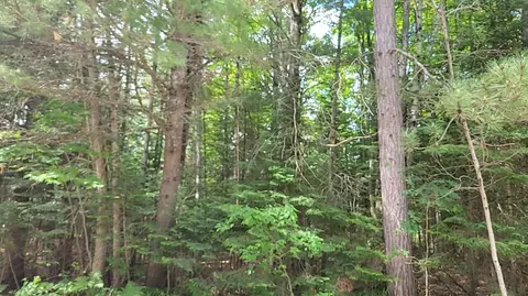 W Batterson, Frederic, MI 49733 photo 6