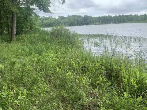 00 Wildwood, Evart, MI 49631