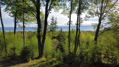 00 Robins, Charlevoix, MI 49720 photo 6