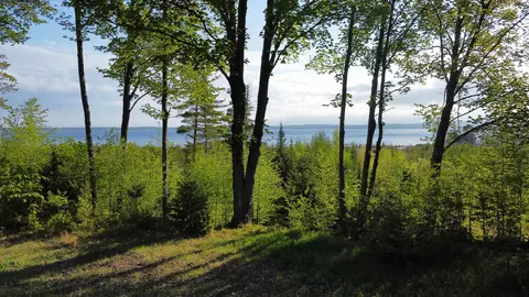 00 Robins, Charlevoix, MI 49720 photo 11