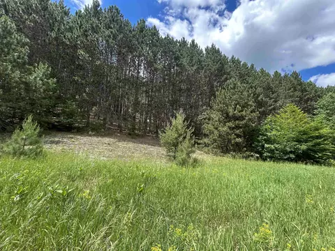 Parcel 6 Wildwood, Mancelona, MI 49659
