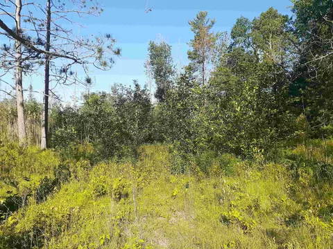 7631 F-41, Oscoda, MI 48750