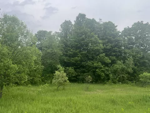 00 Wood Rd NE, Kalkaska, MI 49646