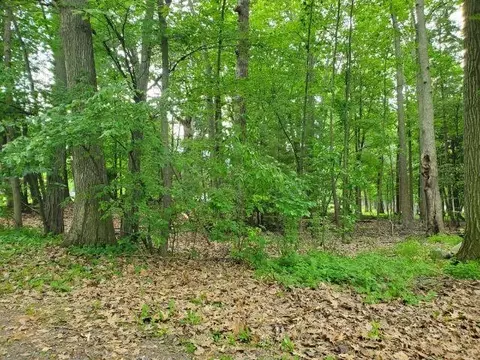 0 Timbers #LOT : 49, Houghton Lake, MI 48629