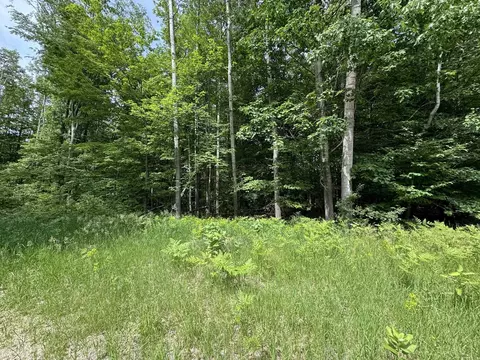 Knoll One, Leroy, MI 49655