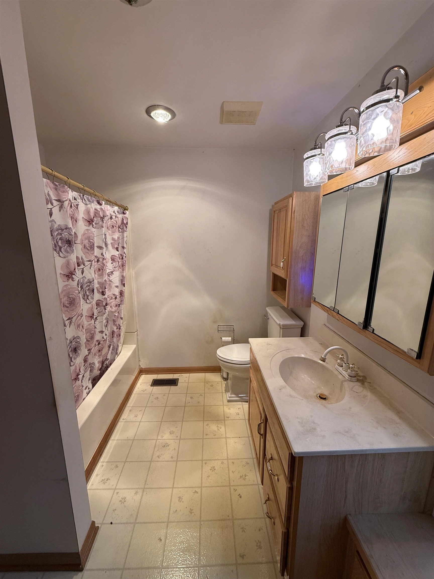 414 N Maple, Ithaca, MI 48847 photo 29