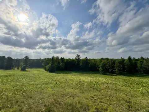 4264 SW Bald Eagles, South Boardman, MI 49680