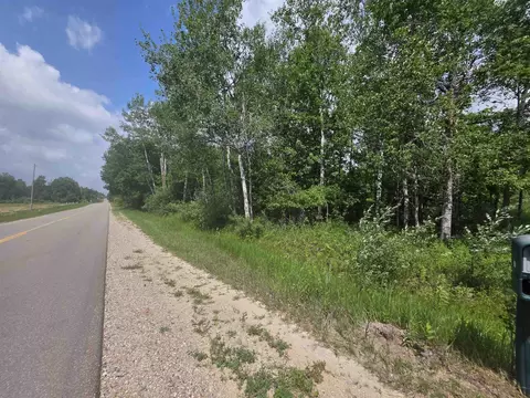 00 Sage Lk, Lupton, MI 48635 photo 4
