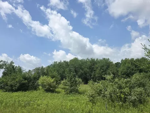 00 Sage Lk, Lupton, MI 48635 photo 3
