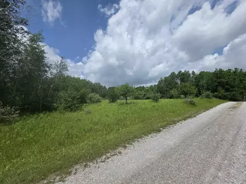 00 Sage Lk, Lupton, MI 48635 photo 6