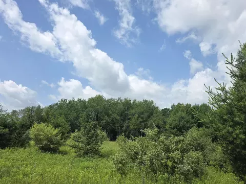 00 Sage Lk, Lupton, MI 48635 photo 2