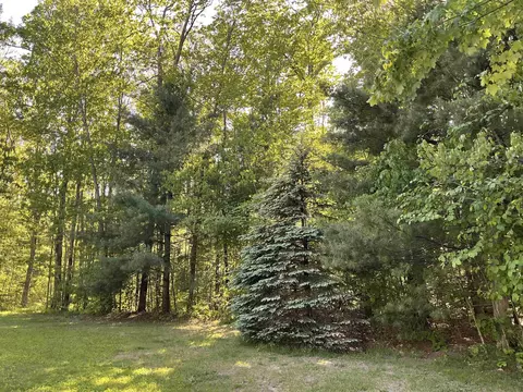 Exterior - 3300 E Arnold Lk, Harrison, MI 48625 photo 29 of 31