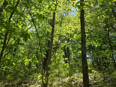 00 E Long Lk, Cadillac, MI 49601