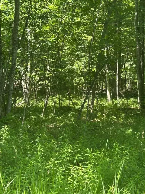 s point lookout LOT 57, Au Gres, MI 48703 photo 3