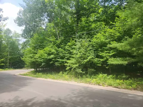 00 Birch Vw, Lake Ann, MI 49650