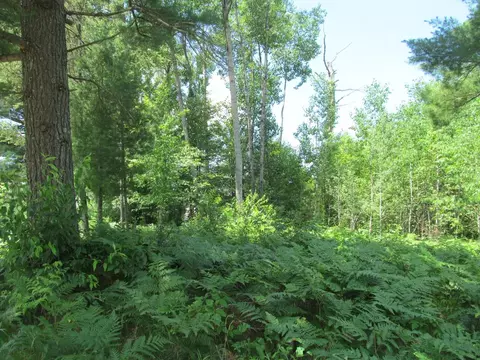 lot63 White Pne #LOT : 63, Cadillac, MI 49601