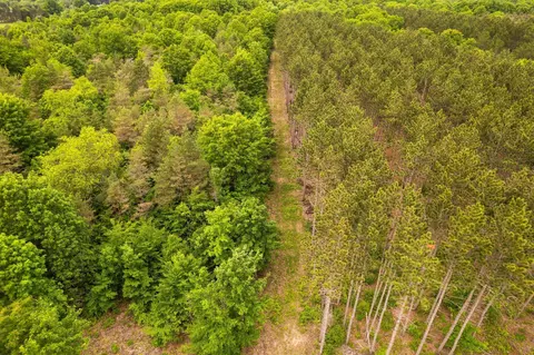 saint johns, Interlochen, MI 49643 photo 39