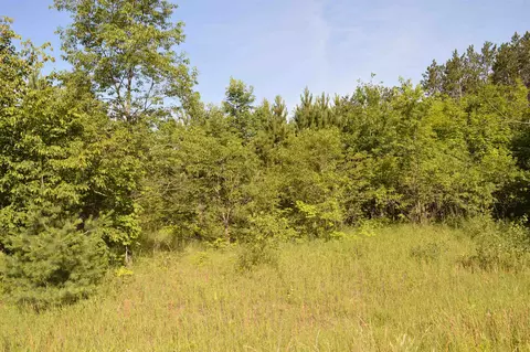 NE Holly, Kalkaska, MI 49646