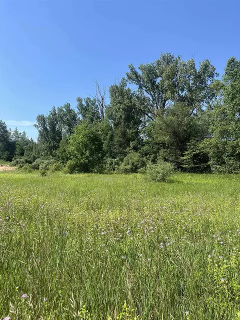 Packingham, Manton, MI 49663 photo 16