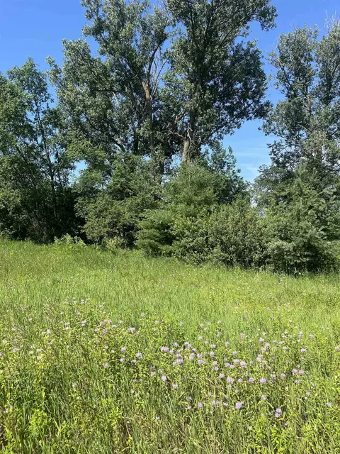 Packingham, Manton, MI 49663 photo 18