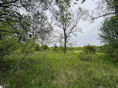 Packingham, Manton, MI 49663 photo 10