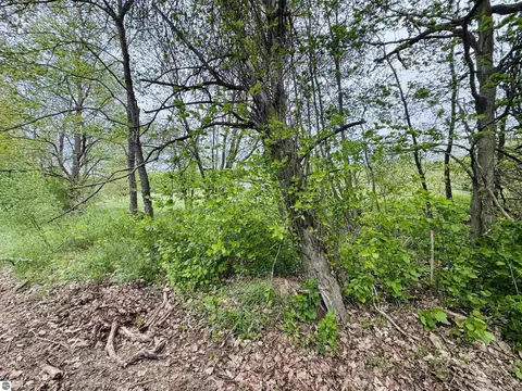 Packingham, Manton, MI 49663 photo 6
