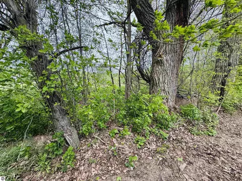 Packingham, Manton, MI 49663 photo 2