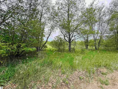 Packingham, Manton, MI 49663 photo 11