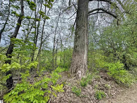Packingham, Manton, MI 49663 photo 8