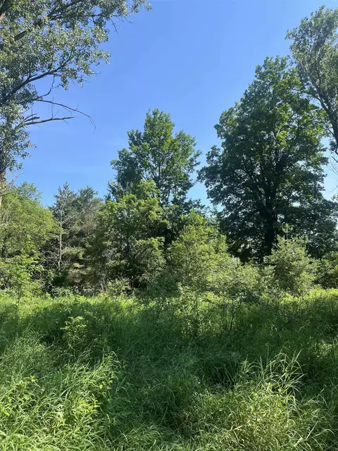 Packingham, Manton, MI 49663 photo 21