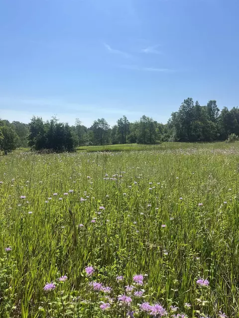 Packingham, Manton, MI 49663 photo 15